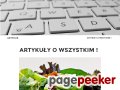 www.symfonia-online.pl